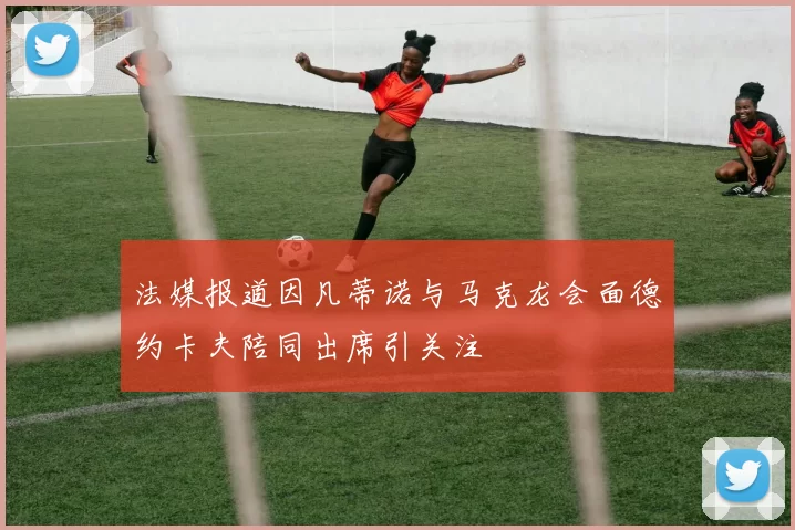 法媒报道因凡蒂诺与马克龙会面德约卡夫陪同出席引关注