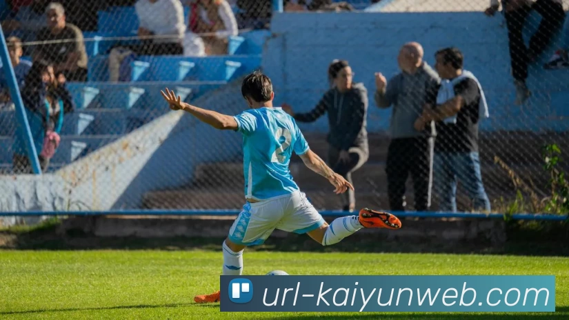 开云体育平台生态图