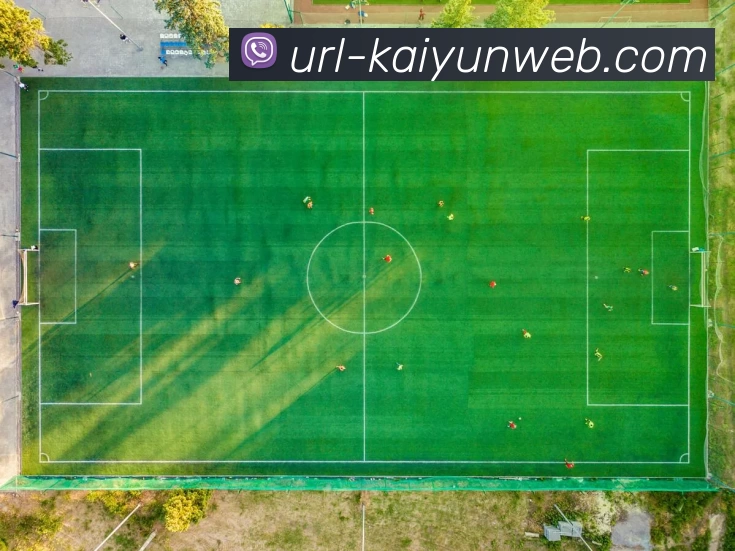 开云体育APP 封面图